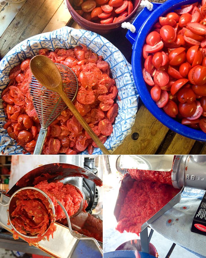 canning tomato sauce calabrese style