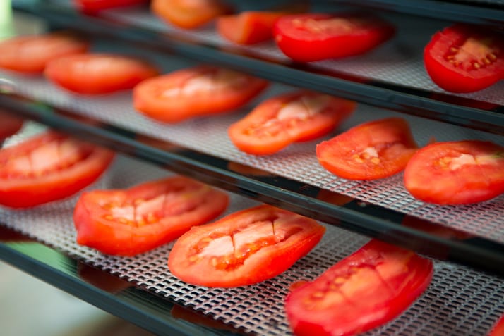 using a dehydrator to dry tomatoes